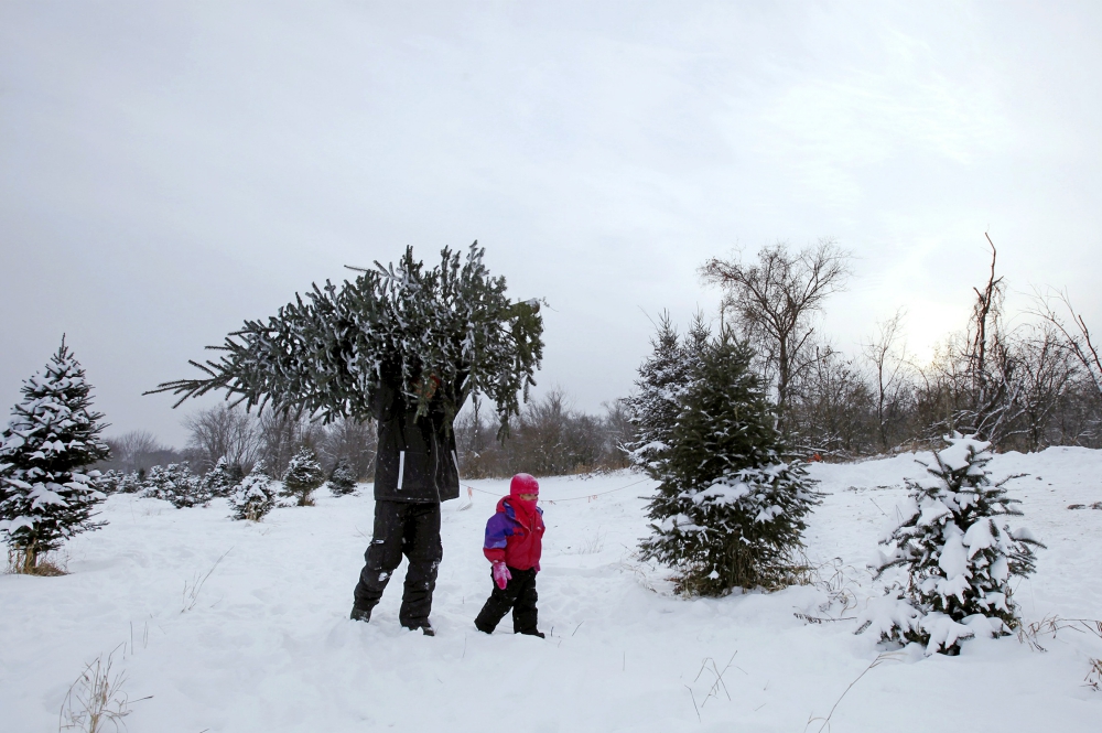20131212nw1673 Tony Baker and his daughter Mesa take away a Christmas tree from Rum River Tree Farm in Anoka, Minnesota, in 2013. (CNS/Reuters/Eric Miller) 20131212nw1673 Tony Baker and his daughter Mesa take away a Christmas tree from Rum River Tree Farm in Anoka, Minnesota, in 2013. (CNS/Reuters/Eric Miller)